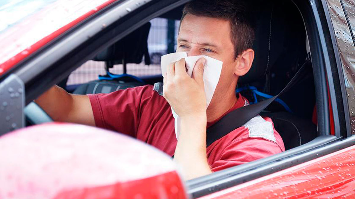 Conducir con alergia aumenta un 30% el riesgo de sufrir un accidente 1 alergia al volante