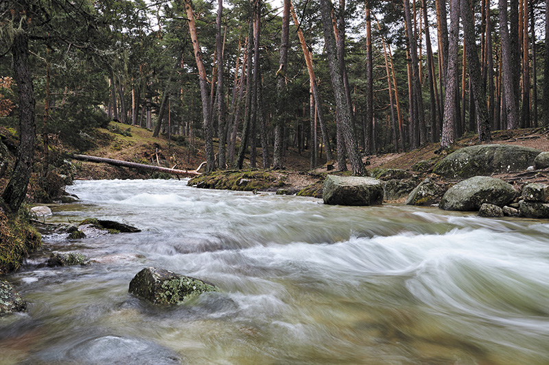 Parque Nacional de la Sierra de Guadarrama 1 aperturapnguadarrama