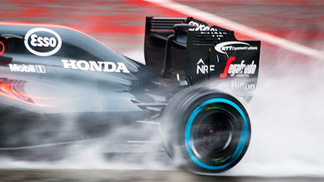 La vida de Fernando Alonso tras la Fórmula 1 1 fernandoalonso 3