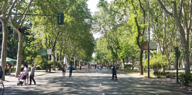 Semana de la Movilidad 2019: Pasea Madrid 1 imagpaseamad