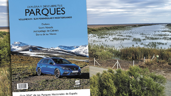 Explora y descubre los parques nacionales del sur y el este de España 1 volumeniv 1
