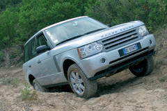 img_2244 img_2244