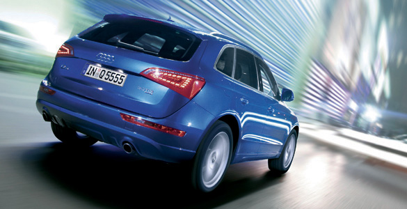 Audi Q5 3/4 Trasero