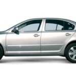 Skoda Octavia 1.9 TDI (2010) Trend perfil