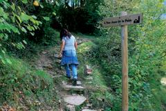 San Juan de la Peña - En busca del Santo Grial San Juan de la Peña - En busca del Santo Grial