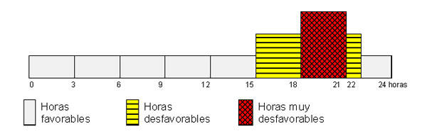 viernes26