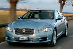 Jaguar Jaguar