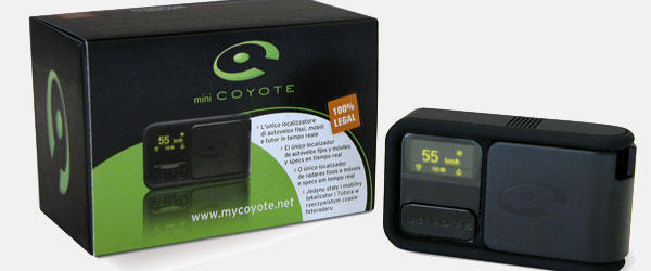 Mini Coyote Mini Coyote