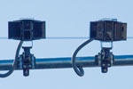 Jet Cam Fox