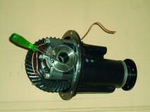 42_dsc003431