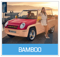 Rinspeed Bamboo