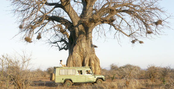 Land Rover Defender 130