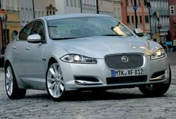 rival-jaguar rival-jaguar