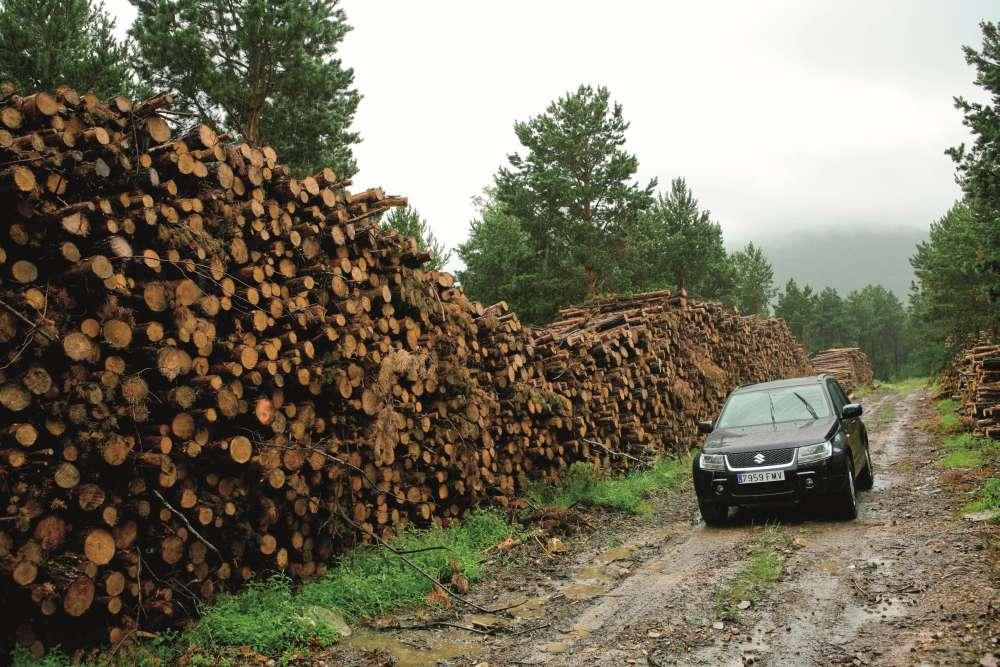 Autofacil revista de coches y motor