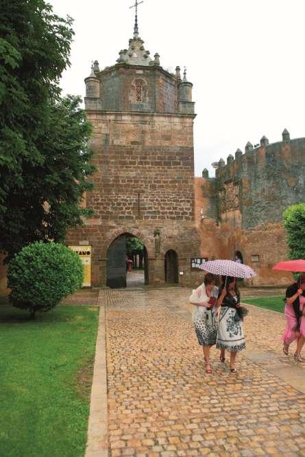 Autofacil revista de coches y motor