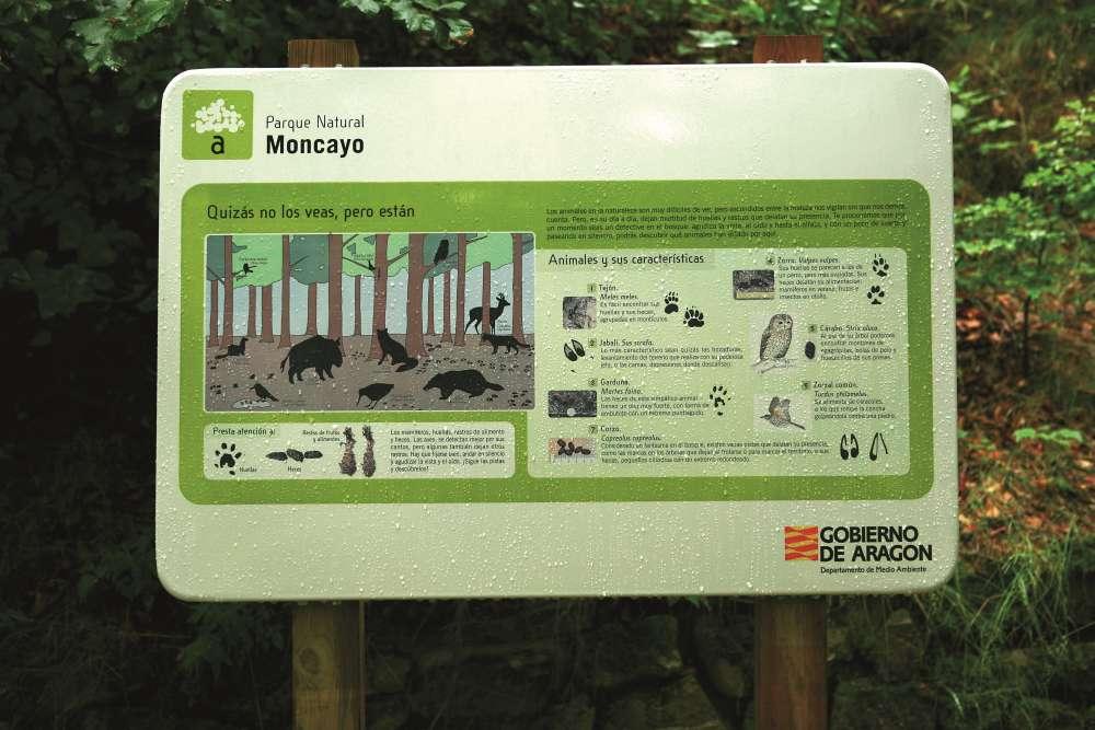 Autofacil revista de coches y motor