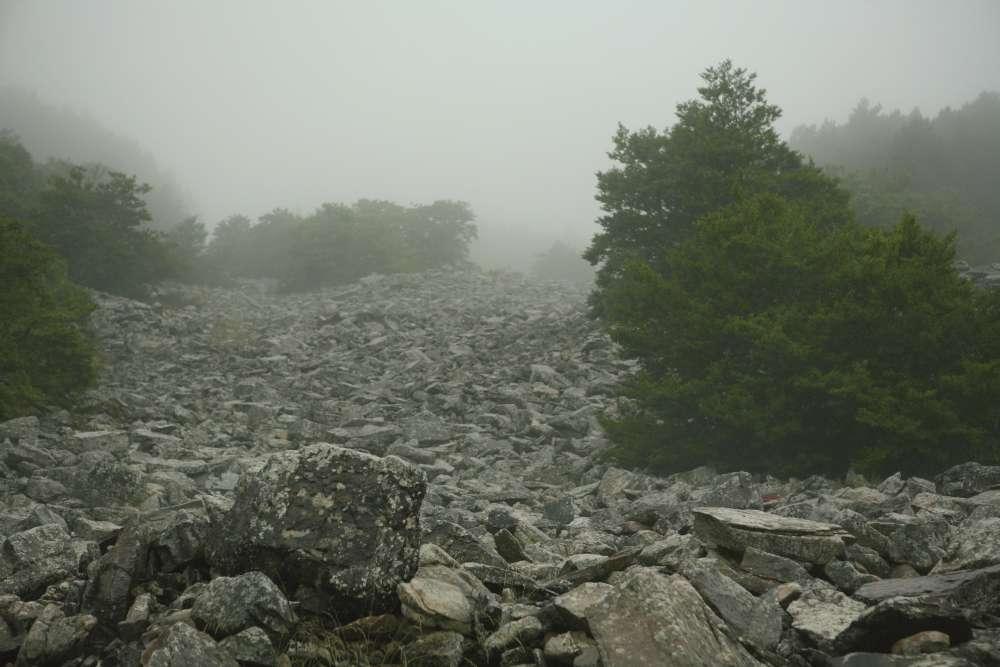 Autofacil revista de coches y motor