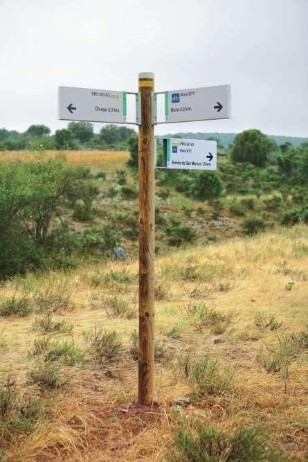 Autofacil revista de coches y motor