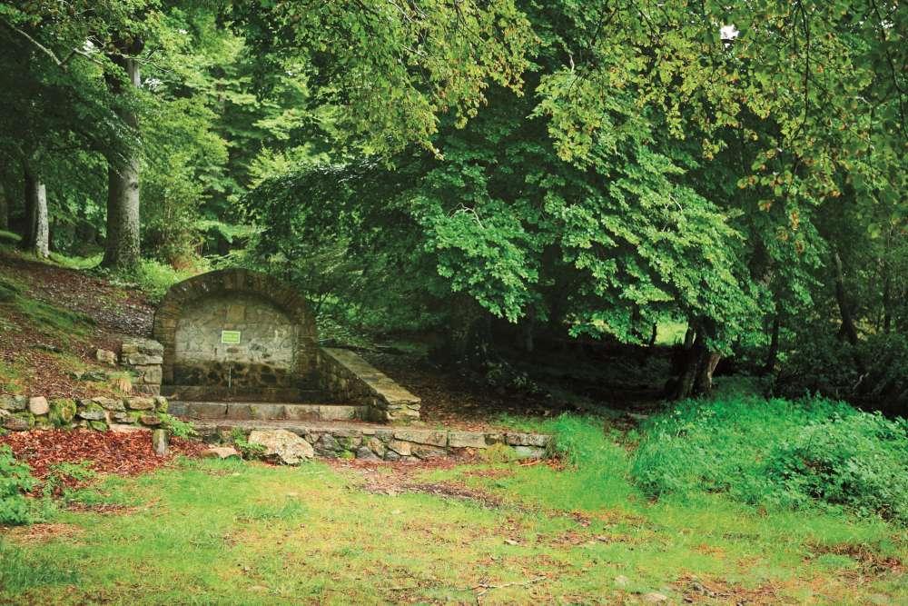 Autofacil revista de coches y motor