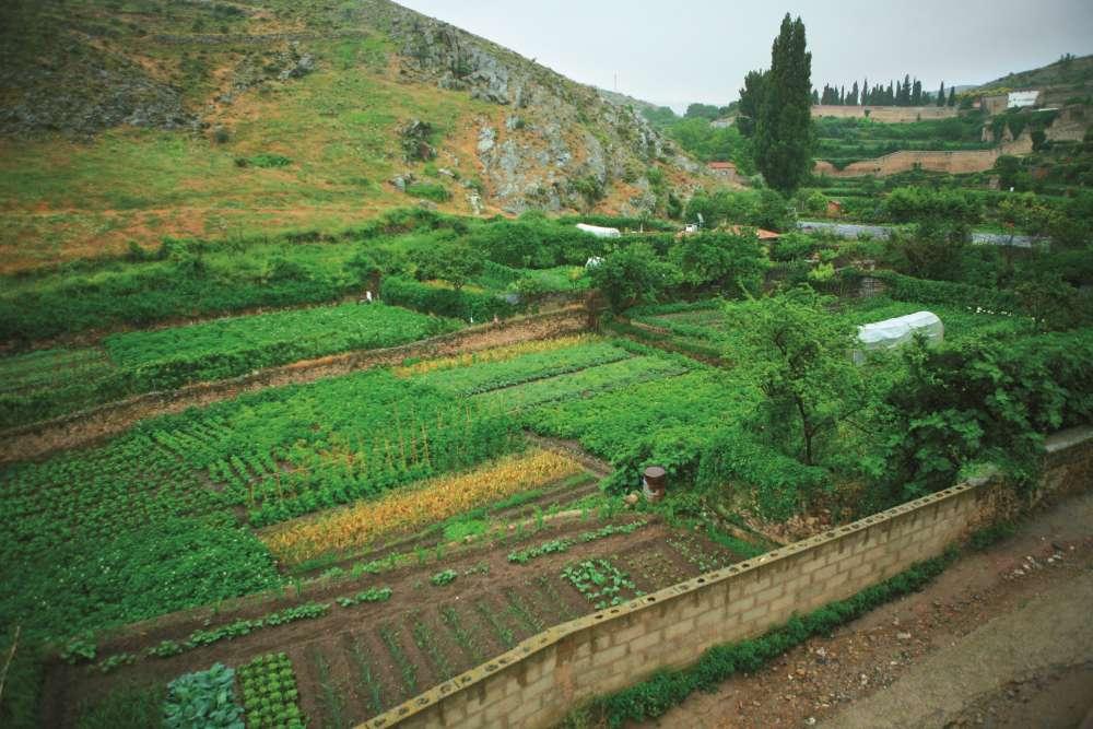 Autofacil revista de coches y motor