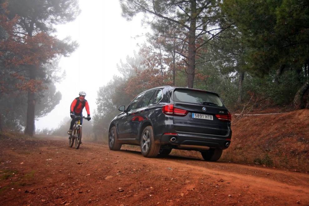 BMW X5 trasera en campo