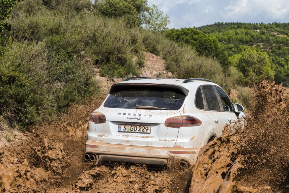 Nuefvo POrsche cAyenne 2014, acción en campo trasera