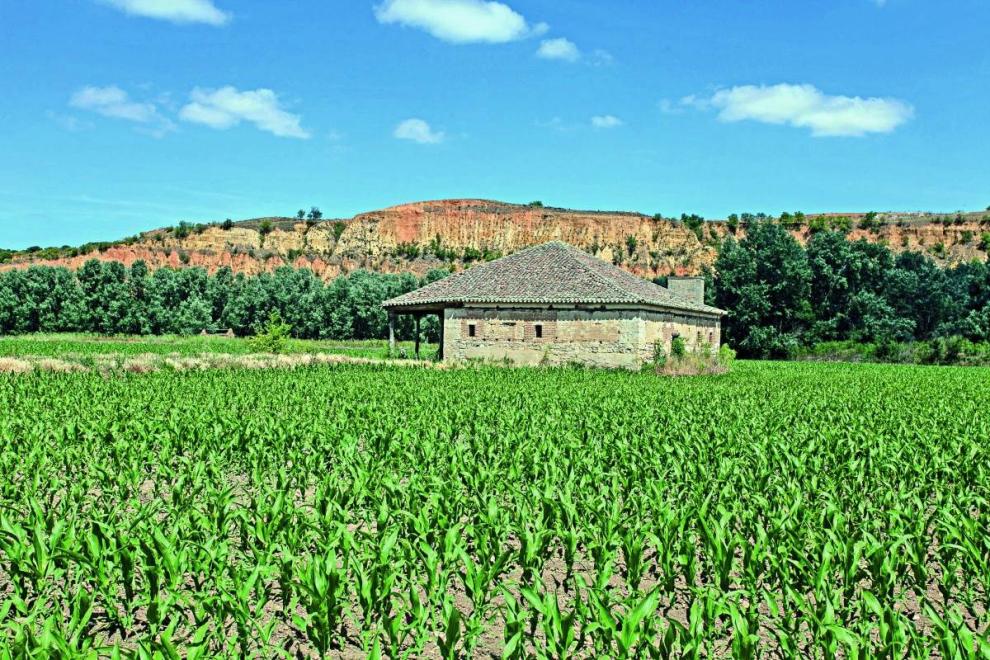 Reserva Naural Lagunas de Villafáfila