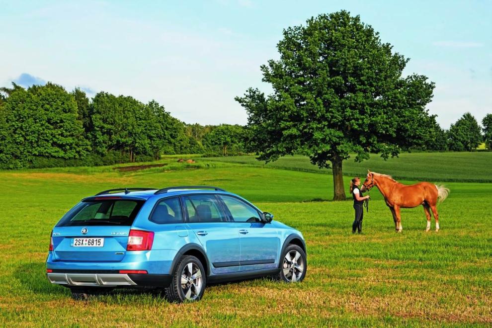 Skoda Scout, vista trasera