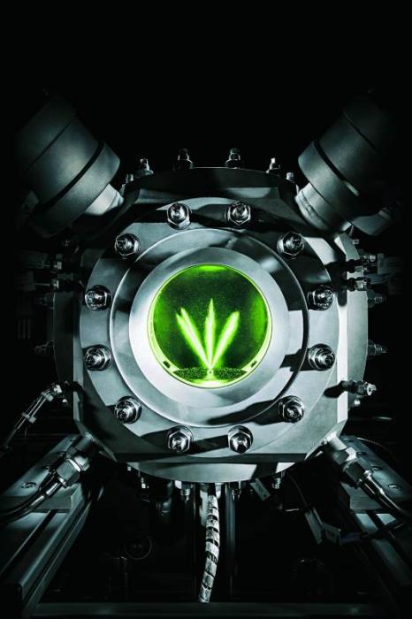 Autofacil revista de coches y motor