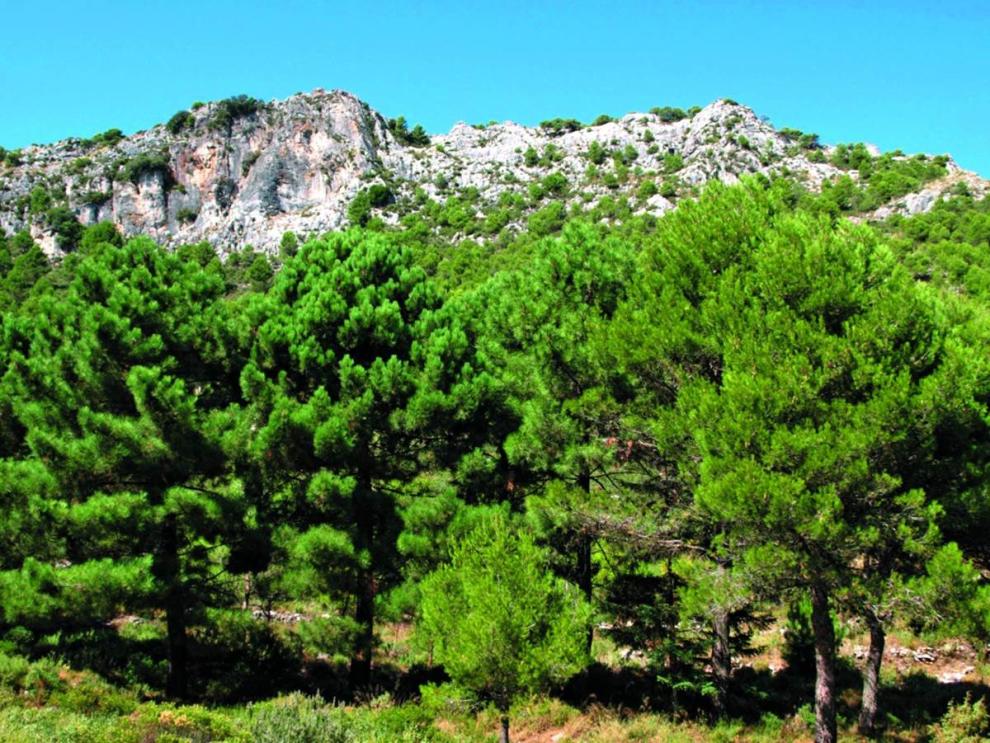 Andalucía Sierra de las Nieves, Málaga