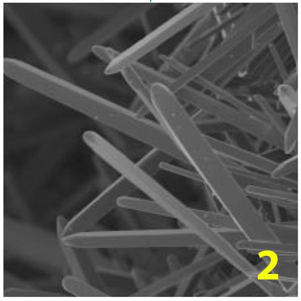 micrografia DPF2