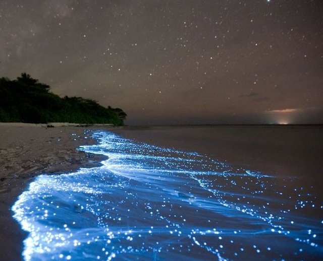 Bioluminescent (Mosquito) Bay, Puerto Rico.