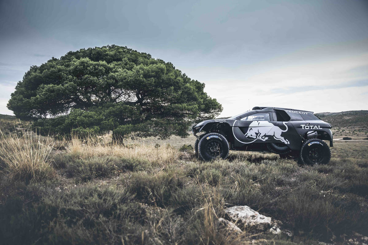 Peugeot 2008 DKR 2016, lateral