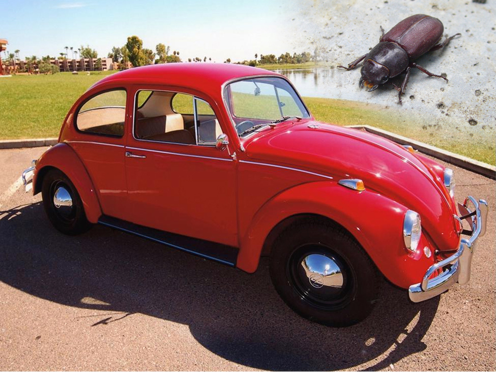 Volkswagen Beetle
