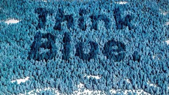 Bosque Think Blue