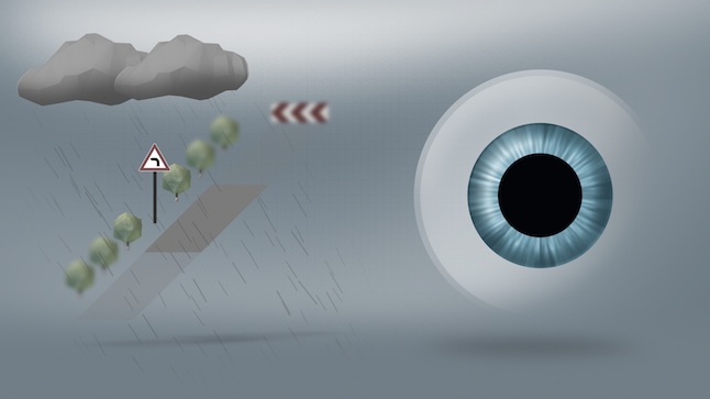 Zeiss Drive Safe