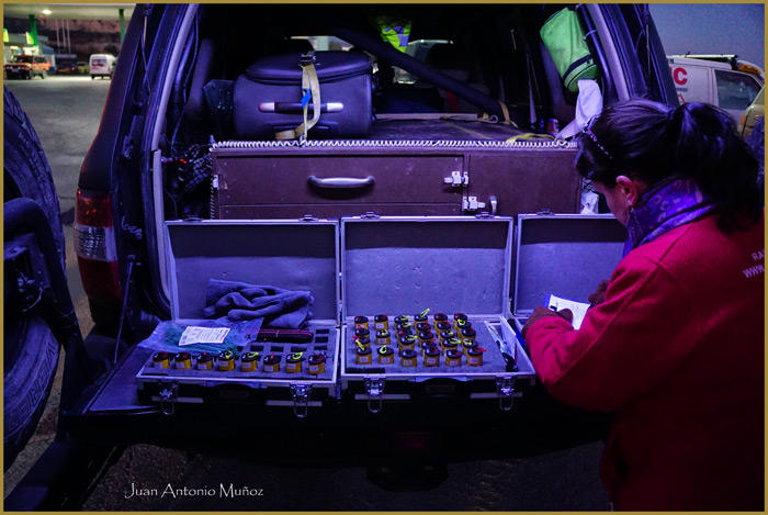 Autofacil revista de coches y motor