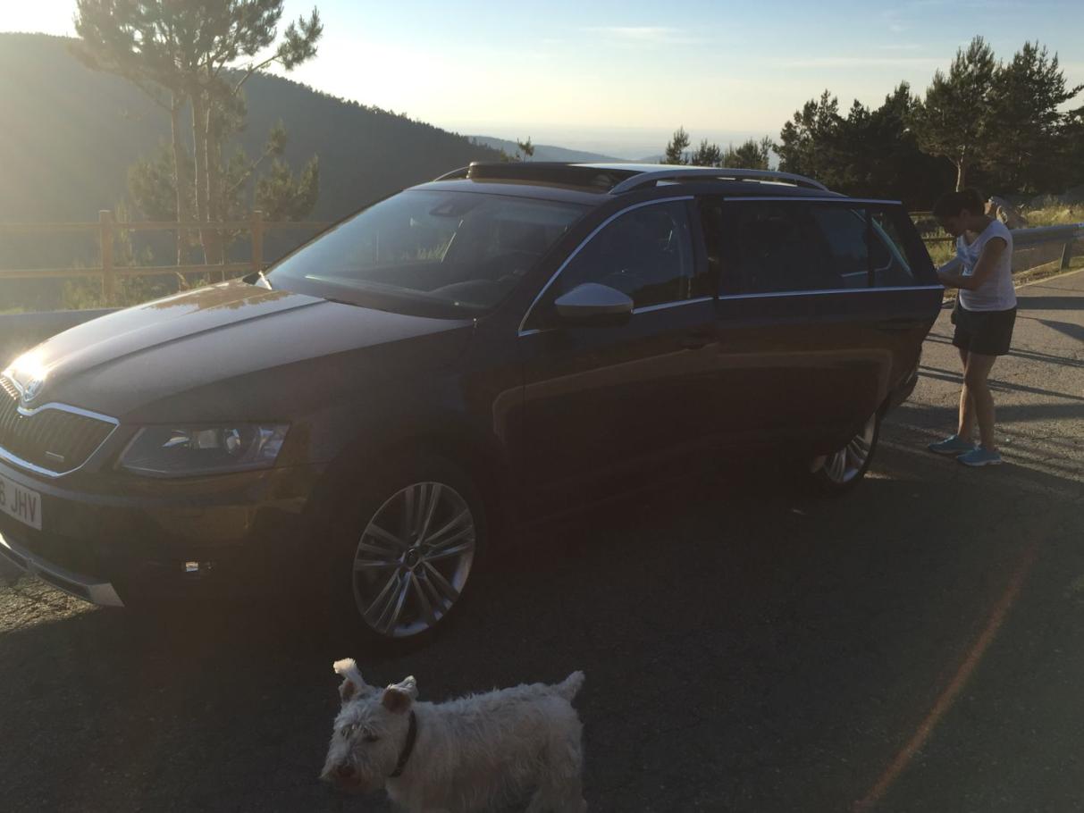 Autofacil revista de coches y motor