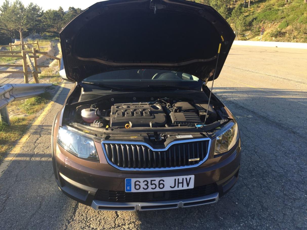 Autofacil revista de coches y motor