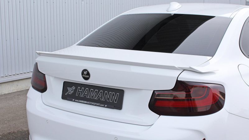 Trasera BMW M2 Hamann