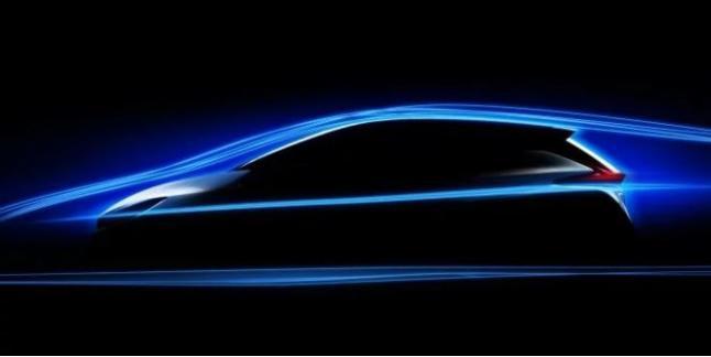 Perfil Nissan Leaf 2018