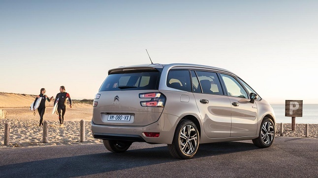 C4 Picasso Rip Curl