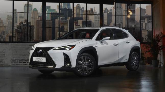 Lexus UX 250h delantera