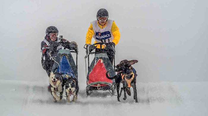 mushing