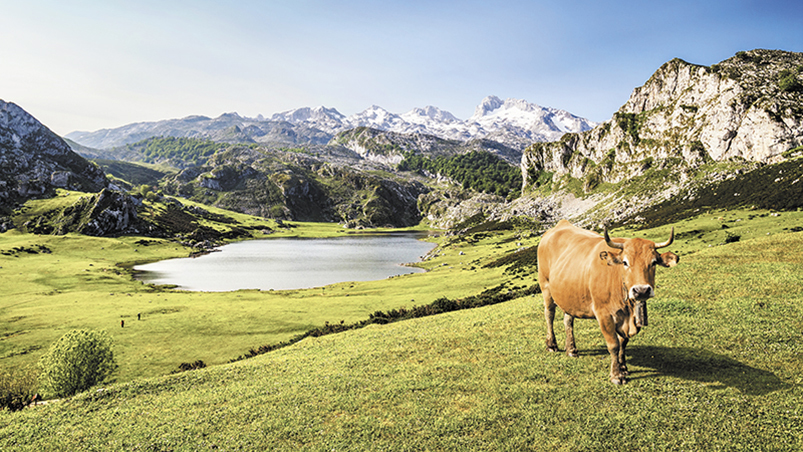 Lagos de Covadonga