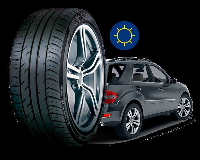 neumático-z-tyre