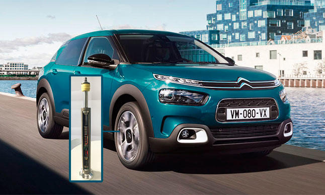 Citroën C4 Cactus