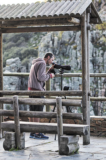 avistamiento de aves en Monfragüe