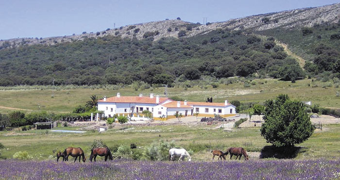 Palacio Viejo de las Corchuelas