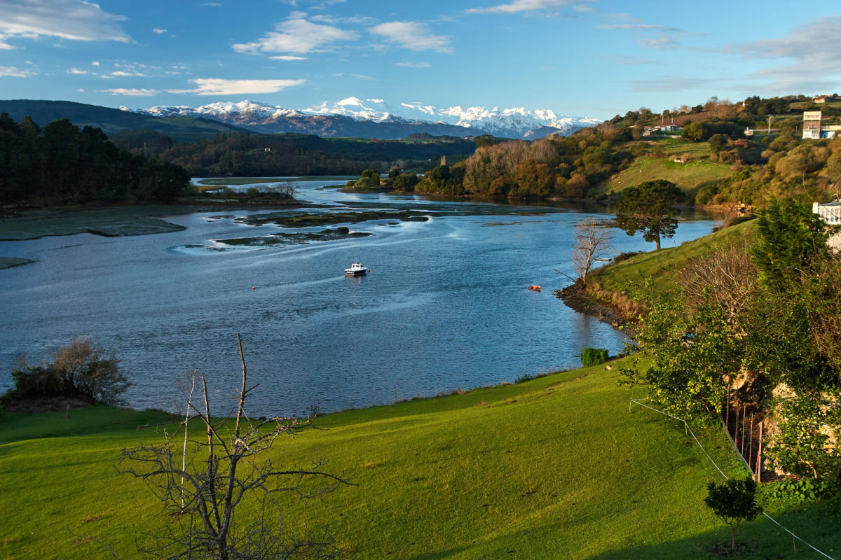 Autofacil revista de coches y motor